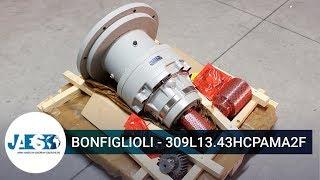 BONFIGLIOLI 309L13 43HCPAMA2F - Gear reducer - Riduttore