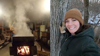 It's Maple Syrup Time - Tapping Trees and Boiling Sap