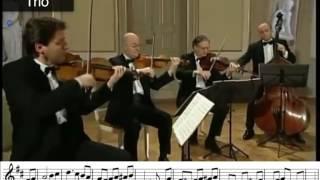 Minuet and Trio Form Eine Kleine Nachtmusik