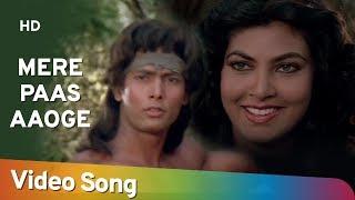 Mere Paas Aaogay Mere Saath Nachoge | Kimi Katkar | Tarzan | Old Hindi Songs | Bappi Lahiri