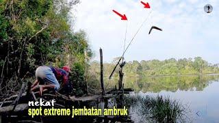 NEKAT.! mancing di spot extreme ikan ganas ganas