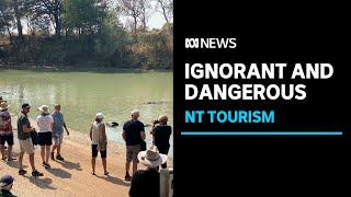 Tourists risking lives to see crocodiles at Cahills Crossing in Kakadu National Park | ABC News