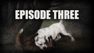 EPISODE THREE - THE BATTLE BRED K9S PROJECT - THE TERRIER