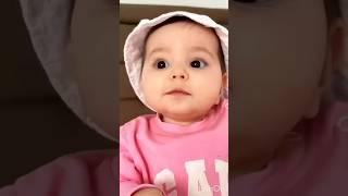 Cat  & monkey laughing  video #funny #comedy #monkey #cutebaby #laughing #shorts #trending