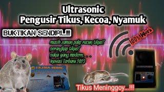 Suara Pengusir Tikus Ampuh Suara Ultrasonic Pengusir Tikus, Kecoa dan Semut