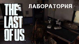 The Last Of Us\ Одни Из Нас. РЕАЛИЗМ. Глава: Университет-Лаборатория