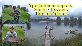 Трофейные карпы на озере Глухое. Берегись - эти машины дадут жару )))  Carp fishing in Siberia.