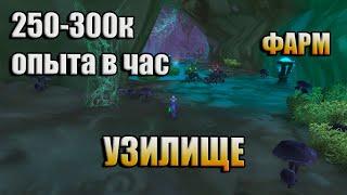 WOW TBC / УЗИЛИЩЕ / 250-300К ОПЫТА В ЧАС!