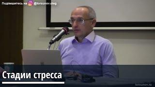 Торсунов О.Г.  Стадии стресса