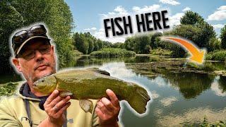 Tench Tactics | Weedy Venues | Tench