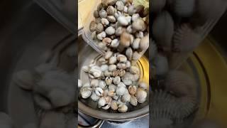 Tumis kerang dara #resepsimple #dapurumidina #shortsvideo