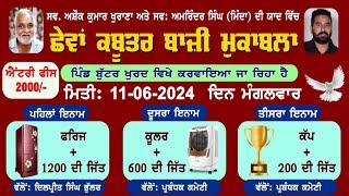  LIVE  Kabootar Bazi pind butar ( MOGA ) 11/6/2024 Live kabootar bazi 2024