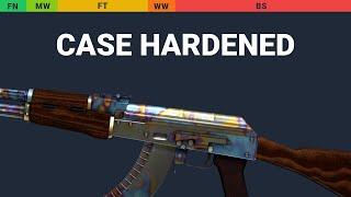 AK-47 Case Hardened - Skin Float And Wear Preview