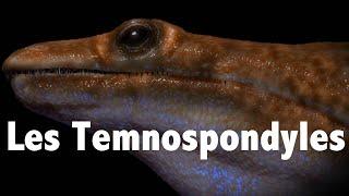 Les Temnospondyles