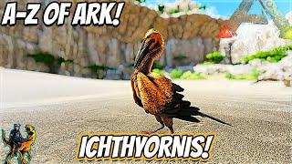 A-Z Of Ark! The ICHTHYORNIS, The Dumbest Bird Ever!! || Ark Survival Evolved!