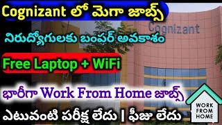 Cognizant latest requitment 2024 || permanent work from home jobs || contract basic jobs