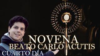 Novena al Beato Carlo Acutis cuarto Día, Ángel de paciencia