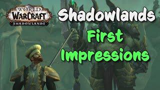 Shadowlands First Impressions | Samadan Talks | Thoughts After 24 Hours