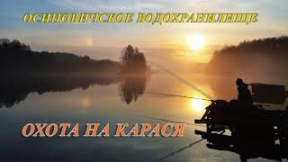 ОХОТА НА КАРАСЯ | Осиповичское водохранилище 2024 | Рыбалка в Беларуси