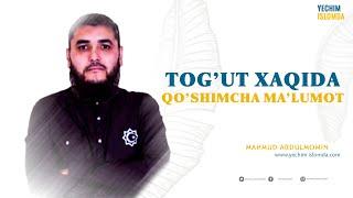 Тоғут  хақида қўшимча маълумотлар! | Tog'ut xaqida qo'shimcha ma'lumotlar! (УСТОЗ МАҲМУД АБДУЛМЎМИН)