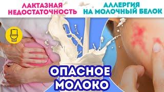 Аллергия на лактозу? Аллергия на молочный белок? В чем разница и как выявить | ДаНо