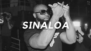 [FREE] Kaaris Type Beat "SINALOA" / Kaaris x Therapy / Instru Trap Sombre // Instru Rap 2024