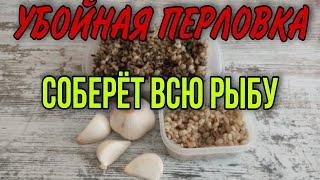 САМАЯ УЛОВИСТАЯ ПЕРЛОВКА ДЛЯ РЫБАЛКИ.УБОЙНАЯ ПЕРЛОВКАперловка на карася