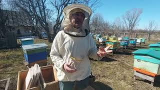 Пчеловодство №135 Весенняя ревизия пчел