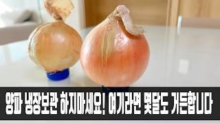 양파 냉장고에서 당장 꺼내세요! 여기에 올려두면 몇달이 지나도 거뜬합니다!