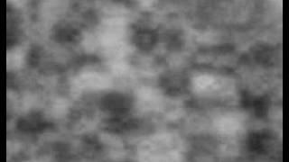 Perlin Noise on GPU