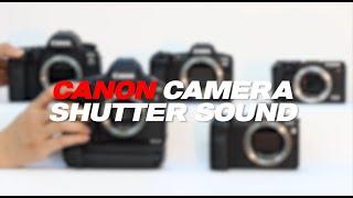 캐논카메라 셔터사운드 모음 | 캐논셔터사운드 | 캐논TV
