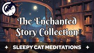 Magical Bedtime Story Collection (Sleepy Cat Meditations)