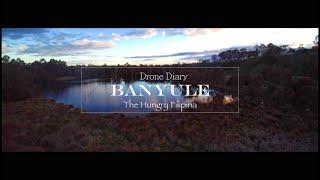 The Drone Diary | Banyule, Victoria