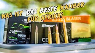 Was ist das richtige Kaliber für eine Jagd in Afrika?