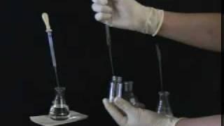 Column Chromatography | MIT Digital Lab Techniques Manual