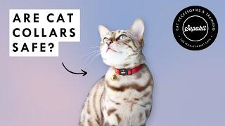 Are Cat Collars Safe? – The FACTS