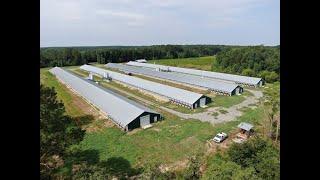 45ac Blizzard Chicken Farm