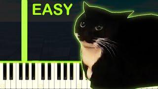 MAXWELL THE CAT MEME SONG - EASY Piano Tutorial
