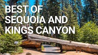 Top Things You NEED To Do In Sequoia & Kings Canyon National Park