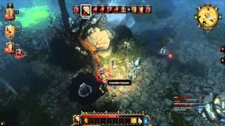 Divinity Original Sin Enhanced Edition / Steam / GNU-Linux