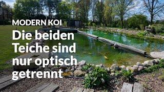 Anjas Riesen Koi- und Schwimmteich | Modern Koi Blog #6771