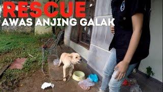 RESCUE: Begini Menjinakkan Anjing Galak