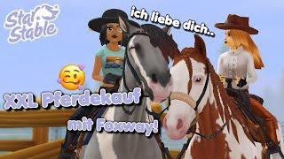  Kauf ich mir ernsthaft ALLE PAINT HORSE?! mit Foxway ● STAR STABLE [SSO]