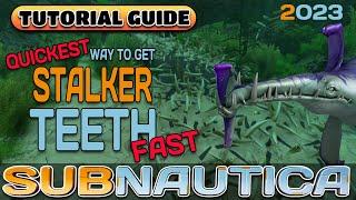 Quickest way to get STALKER TEETH Fast | SUBNAUTICA GUIDE