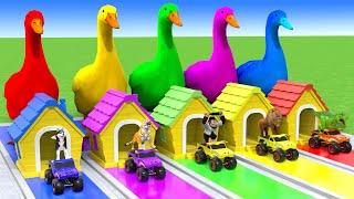 5 Giant Duck Cartoon,Cow,Elephant,Tiger,Lion,Dinosaur,Paint Wild Animals Crossing Fountain Animation