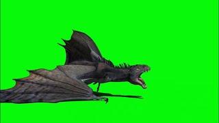 Green Screen Dragon Landing new angles￼