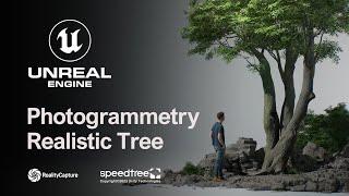 Unreal Engine 5.2 | Photogrammetry Realistic Tree