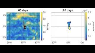 Computer simulations of green turtle navigation to Ascension Island: "strongly swimming navigators"