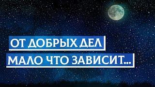 От добрых дел мало что зависит... | Раввин Михаил Финкель