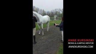 Dr. Meg Mullin - How to Jog Properly for FEI Competitions